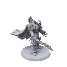 King of the lion empire with a sword of fire Custom 3D Printed Miniature